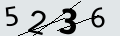 verifycode
